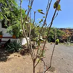 אתר קמפינג Cabanalanz, En Lanzarote