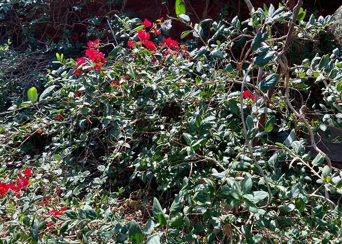 Cabanalanz, En Lanzarote San Bartolomé