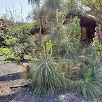 Cabanalanz, En Lanzarote *