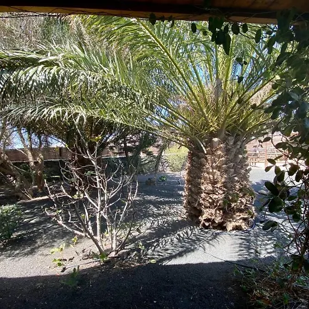 Cabanalanz, En Lanzarote Kamp alanı San Bartolomé