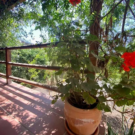 Cabanalanz, En Lanzarote Kamp alanı *