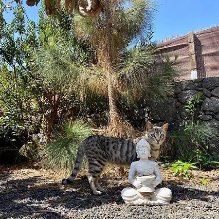 Cabanalanz, En Lanzarote *