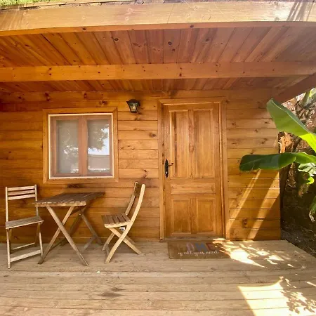 Cabanalanz, En Lanzarote