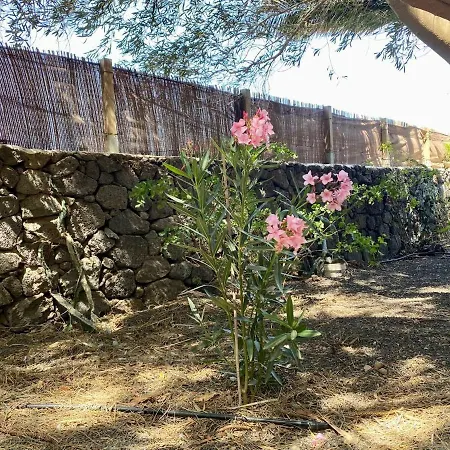 Kamp alanı Cabanalanz, En Lanzarote San Bartolomé