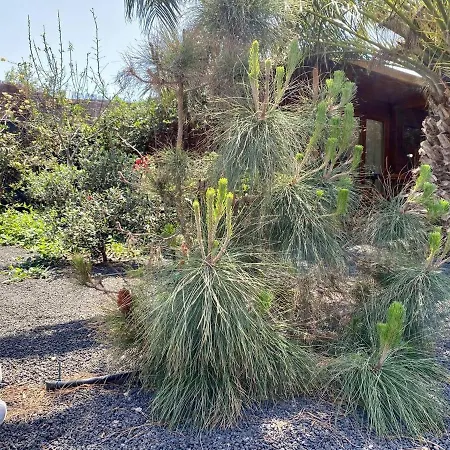 Cabanalanz, En Lanzarote *