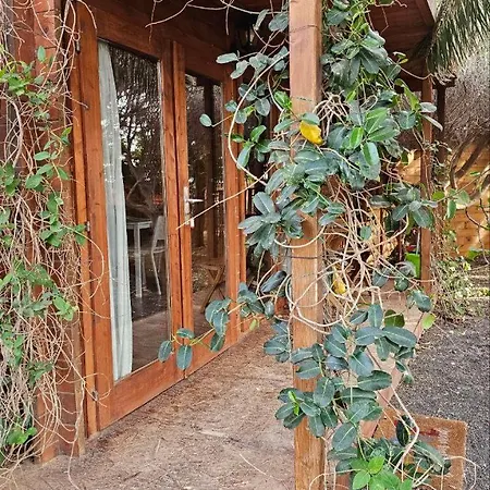 Kamp alanı Cabanalanz, En Lanzarote San Bartolomé