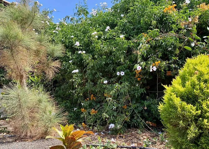 Kemp Cabanalanz, En Lanzarote