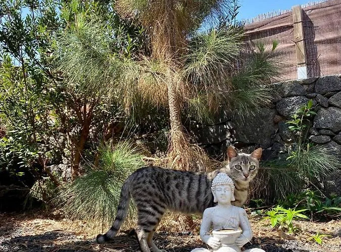 Cabanalanz, En Lanzarote *