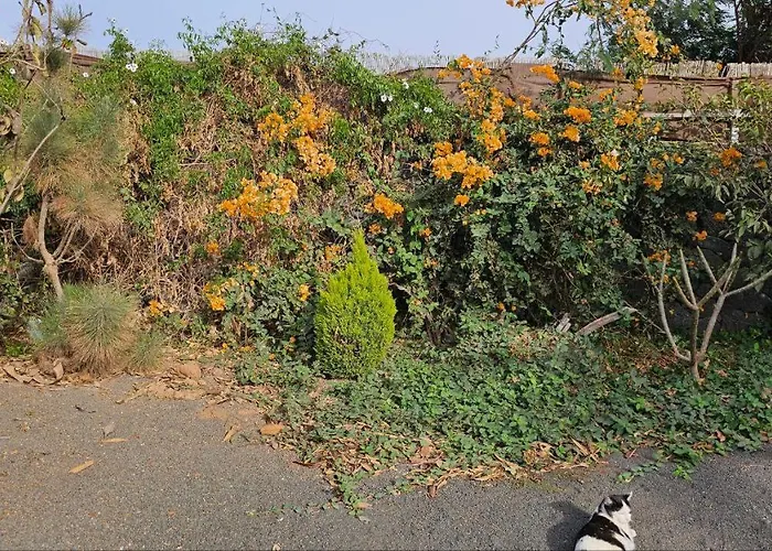 Cabanalanz, En Lanzarote San Bartolomé