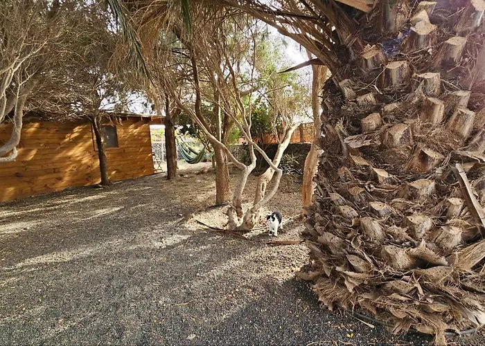 Cabanalanz, En Lanzarote San Bartolomé