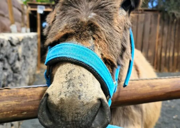 Cabanalanz, En Lanzarote *